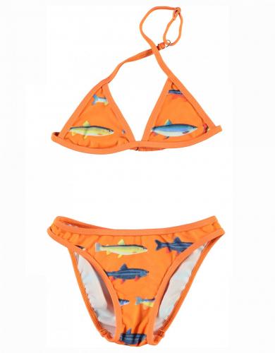 bikini fish