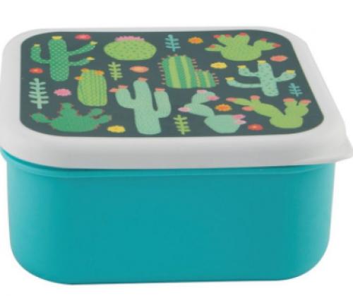 lunchbox cactus